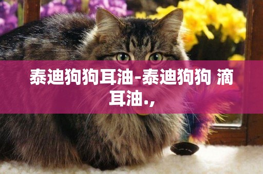 泰迪狗狗耳油-泰迪狗狗 滴耳油.,