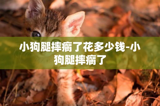小狗腿摔瘸了花多少錢-小狗腿摔瘸了