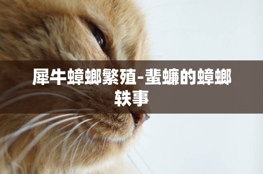犀牛蟑螂繁殖-蜚蠊的蟑螂軼事