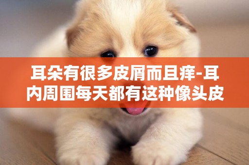 耳朵有很多皮屑而且癢-耳內周圍每天都有這種像頭皮屑的東西？