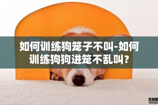 如何訓練狗籠子不叫-如何訓練狗狗進籠不亂叫？
