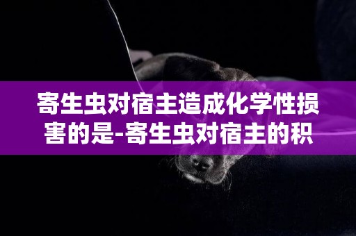 寄生蟲對宿主造成化學性損害的是-寄生蟲對宿主的積極作用