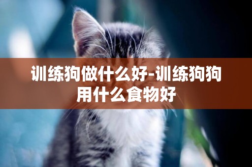 訓練狗做什么好-訓練狗狗用什么食物好