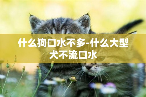 什么狗口水不多-什么大型犬不流口水