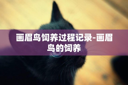 畫眉鳥飼養過程記錄-畫眉鳥的飼養