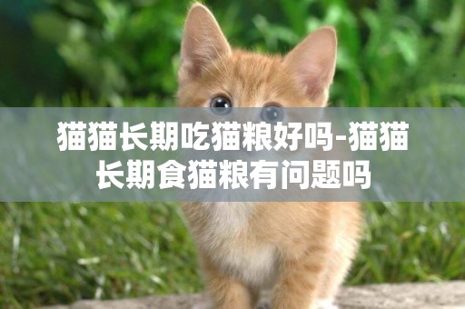 貓貓長期吃貓糧好嗎-貓貓長期食貓糧有問題嗎