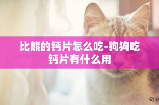 比熊的鈣片怎么吃-狗狗吃鈣片有什么用