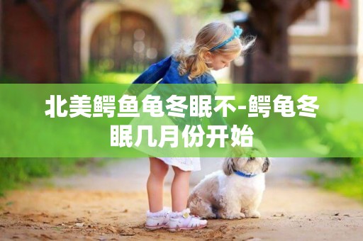 北美鱷魚龜冬眠不-鱷龜冬眠幾月份開始