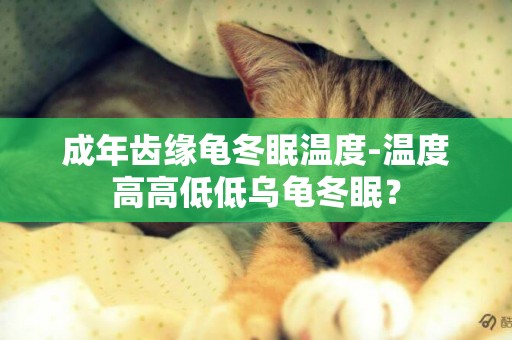 成年齒緣龜冬眠溫度-溫度高高低低烏龜冬眠？