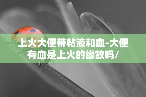上火大便帶粘液和血-大便有血是上火的緣故嗎/