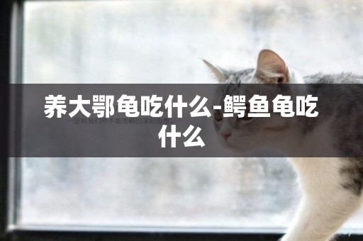 養大鄂龜吃什么-鱷魚龜吃什么