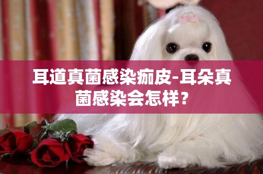 耳道真菌感染痂皮-耳朵真菌感染會怎樣？