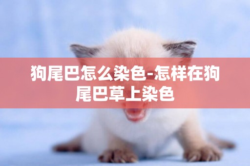 狗尾巴怎么染色-怎樣在狗尾巴草上染色