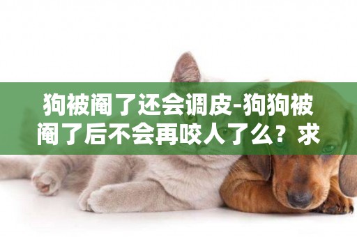狗被閹了還會調皮-狗狗被閹了后不會再咬人了么？求達人給真像
