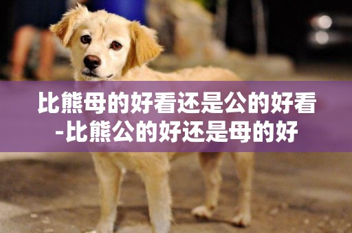比熊母的好看還是公的好看-比熊公的好還是母的好
