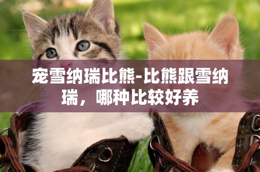 寵雪納瑞比熊-比熊跟雪納瑞，哪種比較好養