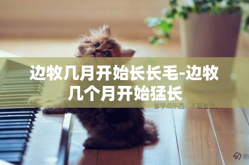 邊牧幾月開始長長毛-邊牧幾個月開始猛長