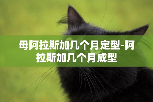 母阿拉斯加幾個月定型-阿拉斯加幾個月成型