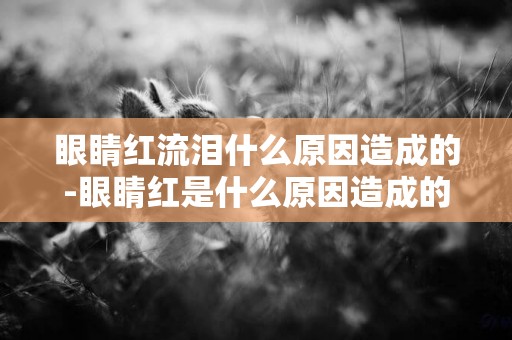 眼睛紅流淚什么原因造成的-眼睛紅是什么原因造成的