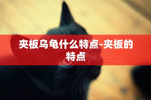 夾板烏龜什么特點-夾板的特點