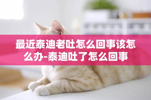 最近泰迪老吐怎么回事該怎么辦-泰迪吐了怎么回事