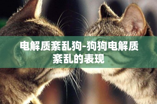 電解質紊亂狗-狗狗電解質紊亂的表現