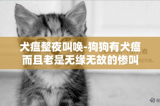 犬瘟整夜叫喚-狗狗有犬瘟而且老是無緣無故的慘叫