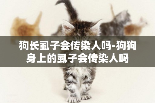 狗長虱子會傳染人嗎-狗狗身上的虱子會傳染人嗎