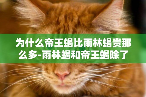 為什么帝王蝎比雨林蝎貴那么多-雨林蝎和帝王蝎除了個體大小之外，還有什么區別？