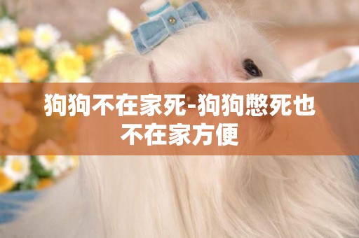 狗狗不在家死-狗狗憋死也不在家方便