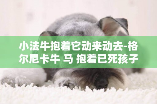 小法牛抱著它動來動去-格爾尼卡牛 馬 抱著已死孩子的母親 戰士 舉燈的人 跳樓的人 奔跑的人的動作 