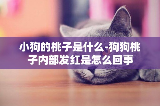 小狗的桃子是什么-狗狗桃子內部發紅是怎么回事