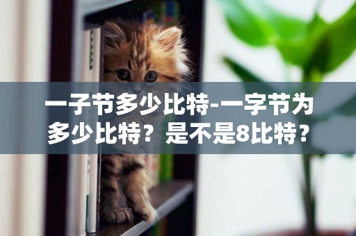 一子節多少比特-一字節為多少比特？是不是8比特？