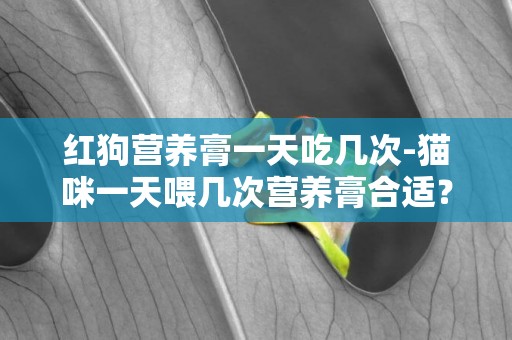 紅狗營養膏一天吃幾次-貓咪一天喂幾次營養膏合適？