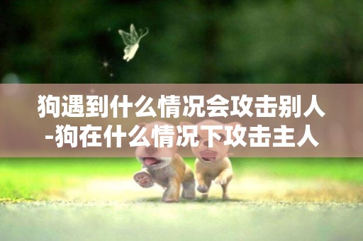 狗遇到什么情況會攻擊別人-狗在什么情況下攻擊主人