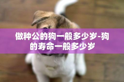 做種公的狗一般多少歲-狗的壽命一般多少歲