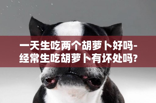 一天生吃兩個胡蘿卜好嗎-經常生吃胡蘿卜有壞處嗎?
