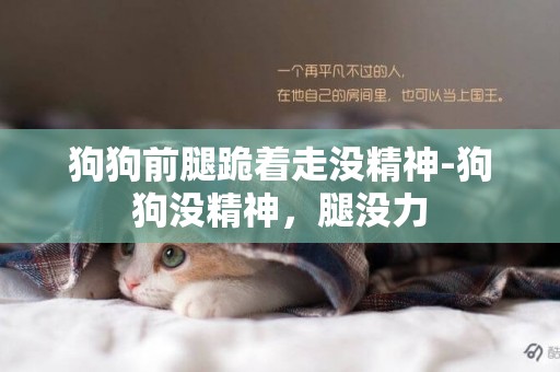 狗狗前腿跪著走沒精神-狗狗沒精神，腿沒力