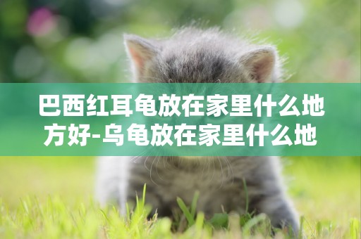 巴西紅耳龜放在家里什么地方好-烏龜放在家里什么地方好