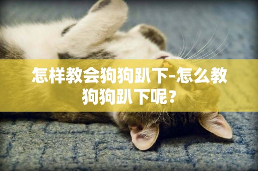 怎樣教會狗狗趴下-怎么教狗狗趴下呢？