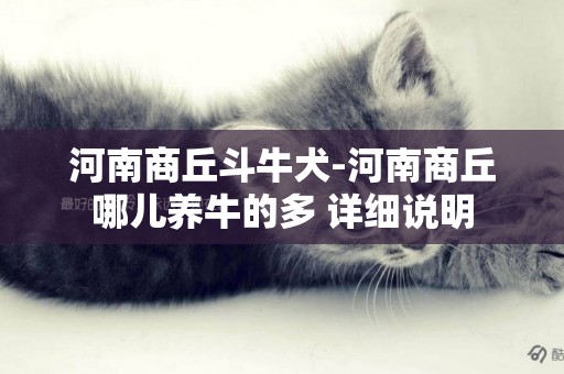 河南商丘斗牛犬-河南商丘哪兒養牛的多 詳細說明