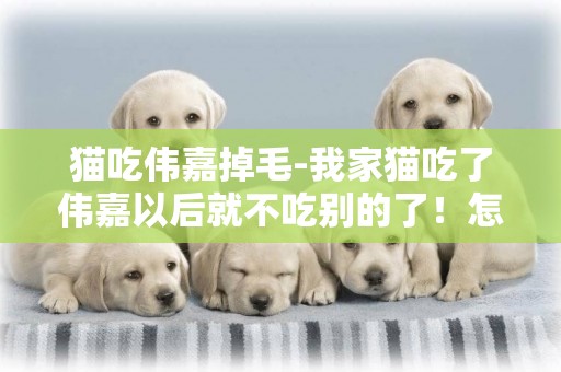 貓吃偉嘉掉毛-我家貓吃了偉嘉以后就不吃別的了！怎么辦？