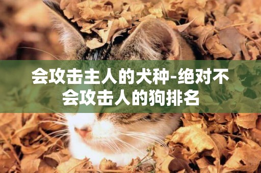 會攻擊主人的犬種-絕對不會攻擊人的狗排名