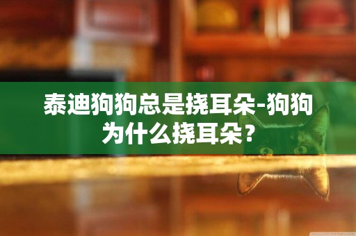 泰迪狗狗總是撓耳朵-狗狗為什么撓耳朵？