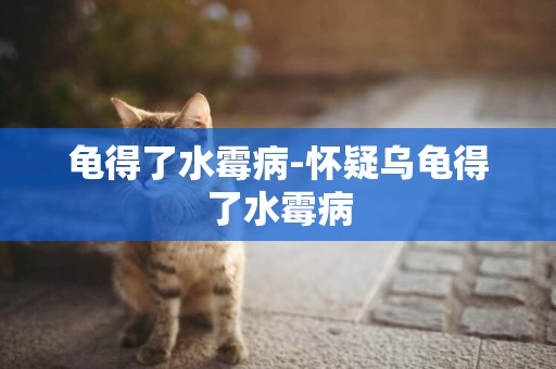 龜得了水霉病-懷疑烏龜得了水霉病