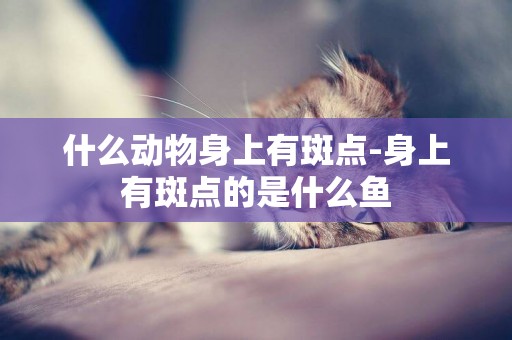 什么動物身上有斑點-身上有斑點的是什么魚