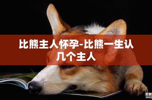 比熊主人懷孕-比熊一生認幾個主人