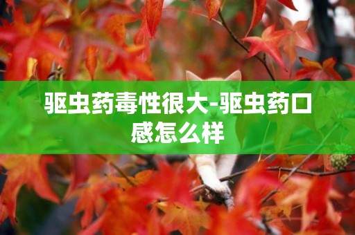 驅蟲藥毒性很大-驅蟲藥口感怎么樣