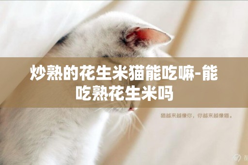 炒熟的花生米貓能吃嘛-能吃熟花生米嗎