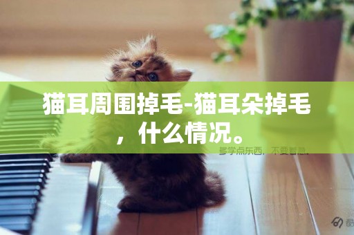 貓耳周圍掉毛-貓耳朵掉毛，什么情況。